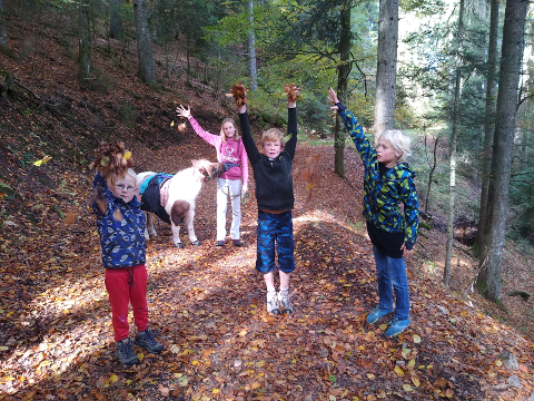 Familienzeit auf Laubweg im Wald mit Pony