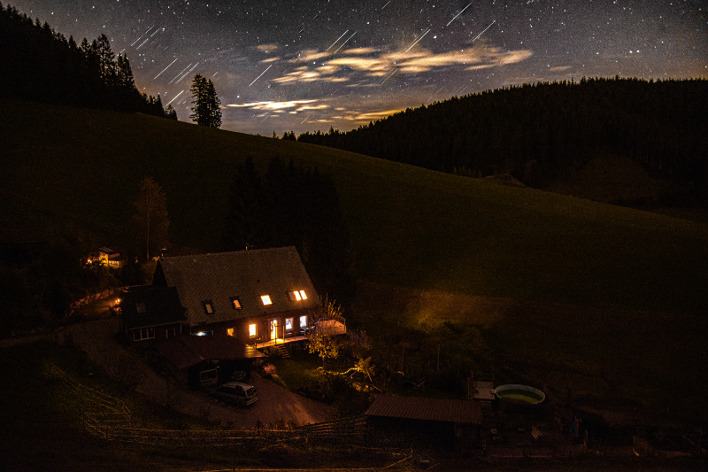 Pferdegestütztes Coaching Breindl in Furtwangen bei Nacht