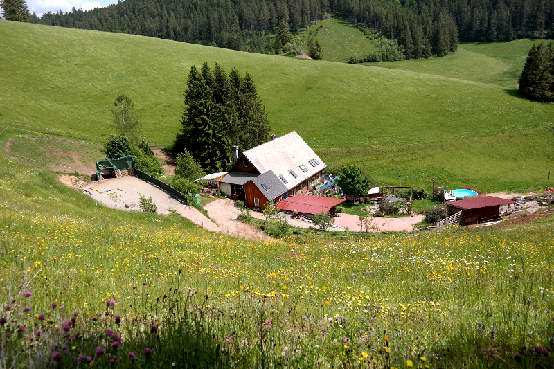 Pferdegestütztes Coaching Furtwangen - Ansicht Reitplatz und Haus