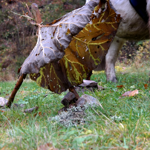 Waldkunst